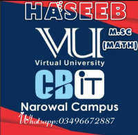 Mth104_quiz_3_sol-vuanswer.com.pdf